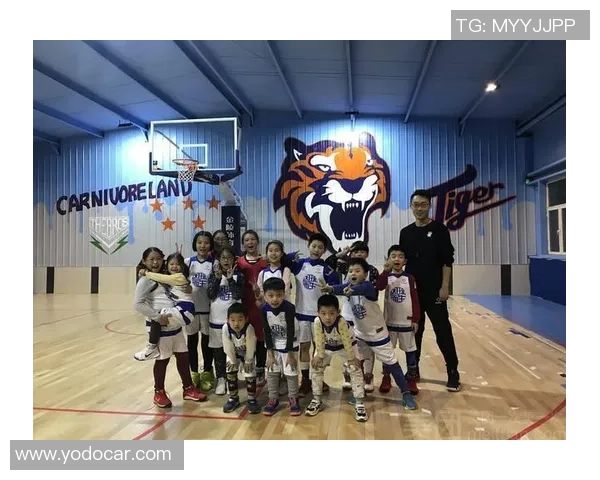 北京乒乓球队实力分析与发展潜力的深度探讨与展望